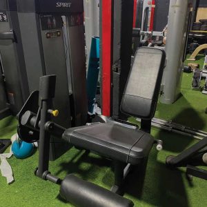 Spirit Fitness Leg Extension