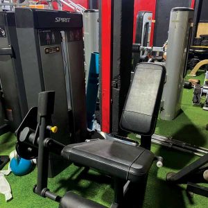 Spirit Fitness Leg Extension